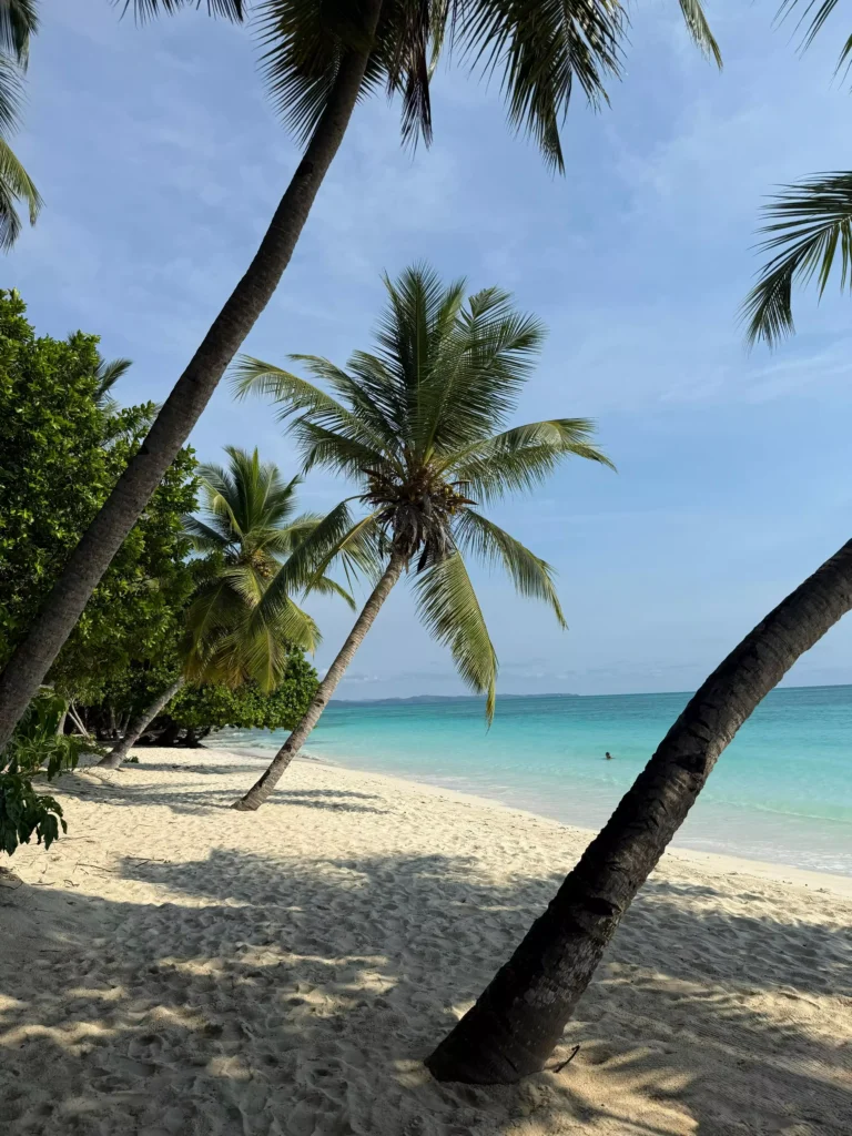 Il Nord del Madagascar ti aspetta!