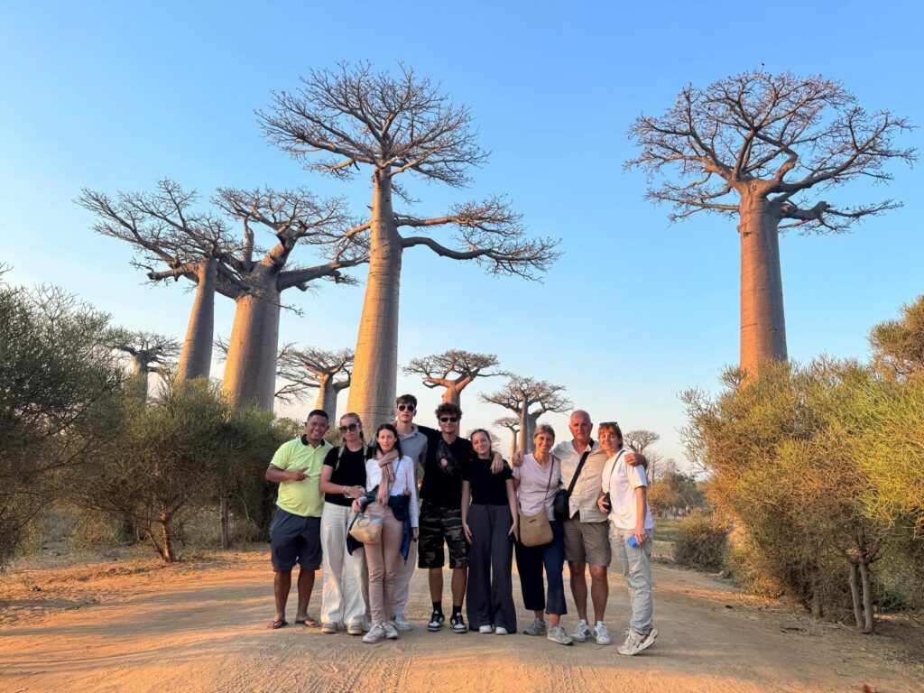 allée des baobab